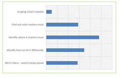 customer-experience-progress-jpg.JPG