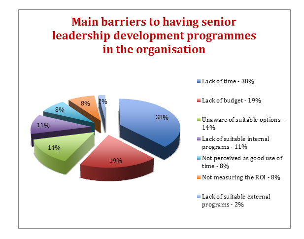 main-barriers-to-having-senior-leadership-pie-chart-png.PNG